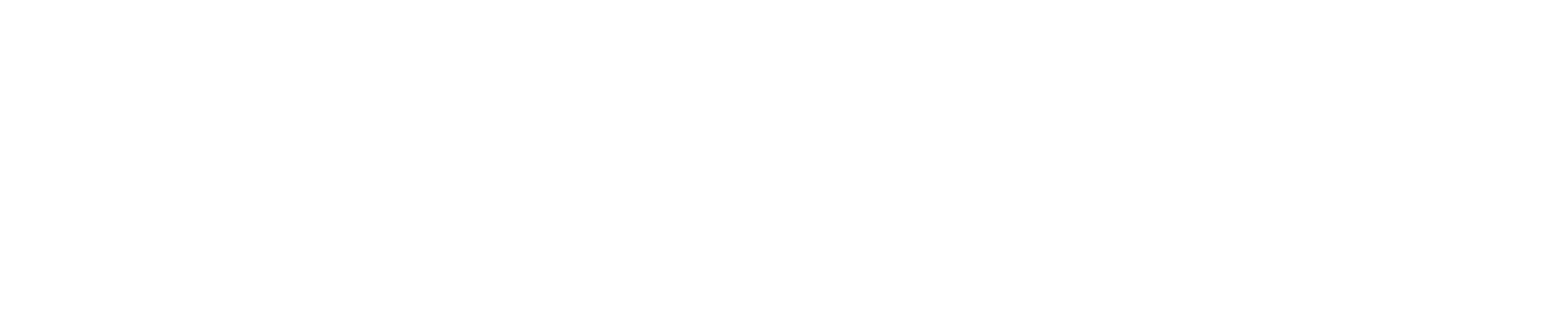 FEDSBJJ